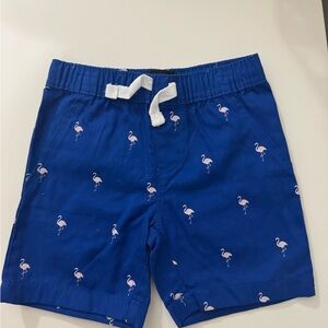 Blue Flamingo Print Kids Shorts
